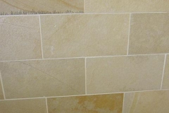 Paves 5