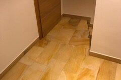 Paves 8
