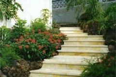 Stairs 4